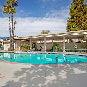 Best Western Plus Black Oak